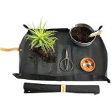 Botanopia &Uuml;ltetőszőnyeg v&aacute;rosi kert&eacute;szked&eacute;shez