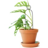 Botanopia "Mini Plant Stake" Climbing Aid