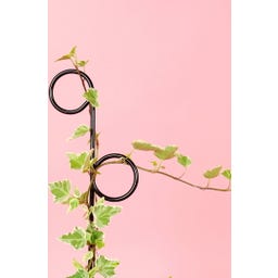 Botanopia Krukspaljé 