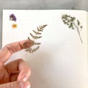 Botanopia Feuille d’Autocollants 