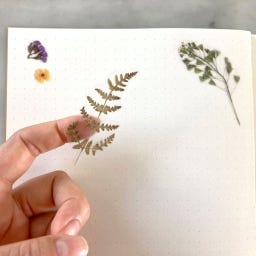 Botanopia Feuille d’Autocollants 