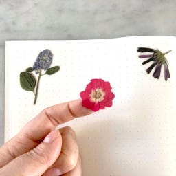 Botanopia Feuille d’Autocollants 