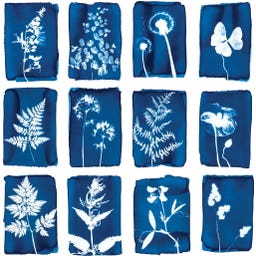 Botanopia Set of 12 Cyanotype Greeting Cards