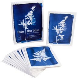 Botanopia Ensemble de 12 Cartes Cyanotype