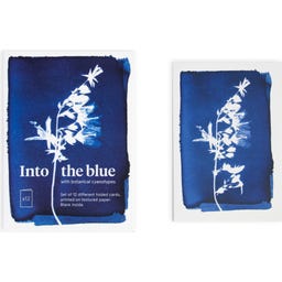 Botanopia Ensemble de 12 Cartes Cyanotype