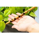 Botanopia Bodenfeuchte-Checker