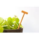 Botanopia Bodenfeuchte-Checker