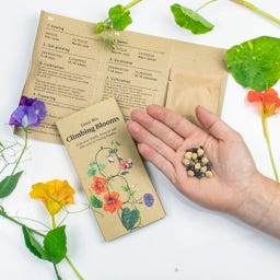 Botanopia Klätterblommor - Fröblandning 