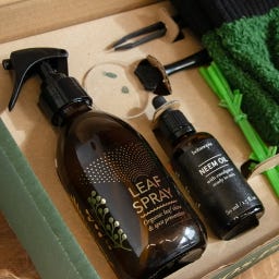 Botanopia Kit de Plantas SOS