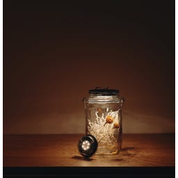 Sonnenglas® Mini - Solar Lamp