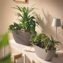 Lechuza NAVIO Color 10 - Nutmeg