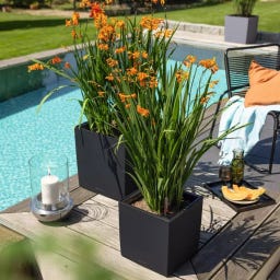 Lechuza CUBE Color 30 - schiefergrau