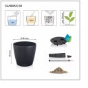 Lechuza Vaso - CLASSICO Color 50