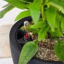 Lechuza Vaso - CLASSICO Color LS 50 - Grigio ardesia