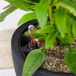 Lechuza Vaso - CLASSICO Color LS 50 - Grigio ardesia