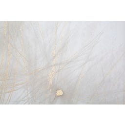 Mauro Ferretti Leinwandbild mit Farbdruck Tin