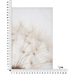 Mauro Ferretti Leinwandbild mit Farbdruck Tin