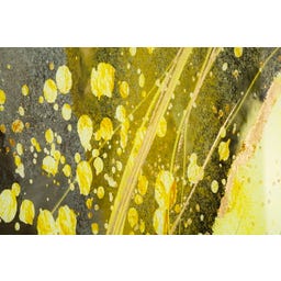 Mauro Ferretti Glasbild mit Rahmen Sunny