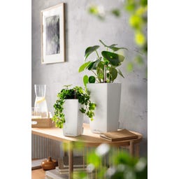 Lechuza MINI-CUBI - weiß matt