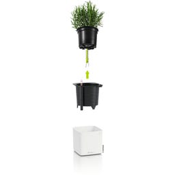 Lechuza CUBE 16 - weiß matt