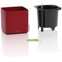 Lechuza CUBE 16 - rouge scarlet mat