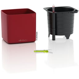 Lechuza CUBE 16 - rouge scarlet mat