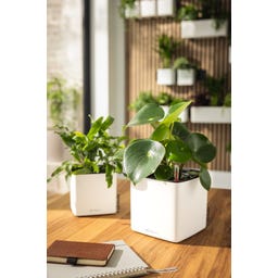 Lechuza CUBE 14 - weiß matt