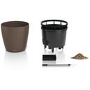 Lechuza Maceta - CLASSICO Color LS 50 - Nuez moscada