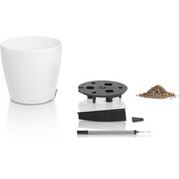 Lechuza Vaso - CLASSICO Color 50 - Bianco