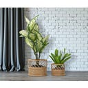 Mauro Ferretti Pflanztopfhalter Panama, 2er-Set