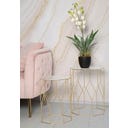 Mauro Ferretti Beistelltisch-Set New Glass, 2 Stück