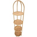 Mauro Ferretti Eck-Regal Panama