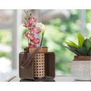 Mauro Ferretti Laterne aus Eisen & Rattan