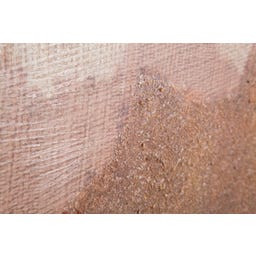 Mauro Ferretti Ročno poslikana stenska slika Browny