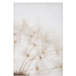 Mauro Ferretti Leinwandbild mit Farbdruck Tin