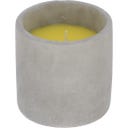 Esschert Design Citronella Betonlicht