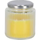 Esschert Design Citronella-Kerze im Glas