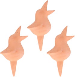Bird Self-Watering Stakes, Set of 3, Terra - 1 set