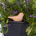 Bird Self-Watering Stakes, Set of 4, Terra - 1 set