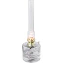 Strömshaga Petroleumlampe 