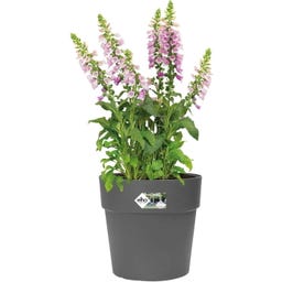 elho Pot VIBIA Straight Rond - 25 cm - Anthracite