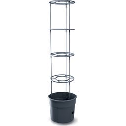 Prosperplast Anzuchttopf für Tomaten mit Rankhilfe - ⌀ 29,5 cm I 12 Liter