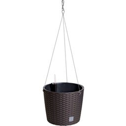 Prosperplast Hängeblumentopf Rato - Braun
