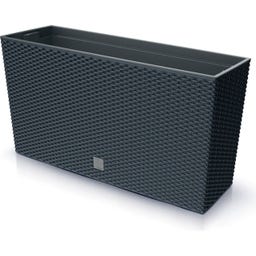 Blumenkasten Rato Case M mit Pflanzeinsatz - 77 x 23,5 cm - Anthrazit