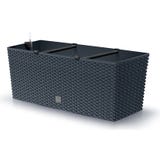 Blumentopf Rato Case inkl. Bew&auml;sserungssystem - Anthrazit