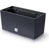 Blumenkasten Rato Case inkl. Pflanzeinsatz - Anthrazit