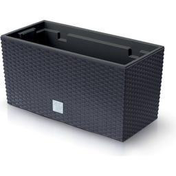 Blumenkasten Rato Case inkl. Pflanzeinsatz - Anthrazit - L 39,5 cm