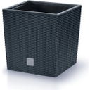 Prosperplast Blumentopf Rato Low Anthrazit