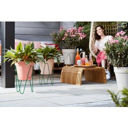elho loft urban Topfständer 30 cm