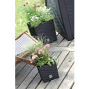 Prosperplast Blumentopf Rato Low Anthrazit - 20x20 cm